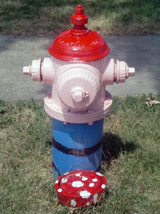 Mario- Plymouth and Harvard